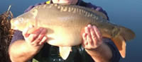 Carp fishing at Broadleaze Fishery