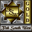 Fish South West Gold Award - Recognising Excellence in Website Design