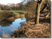 Keysham Angling Association - The River Chew - Chewton Meadow