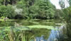 Mid Cornwall Fisheries